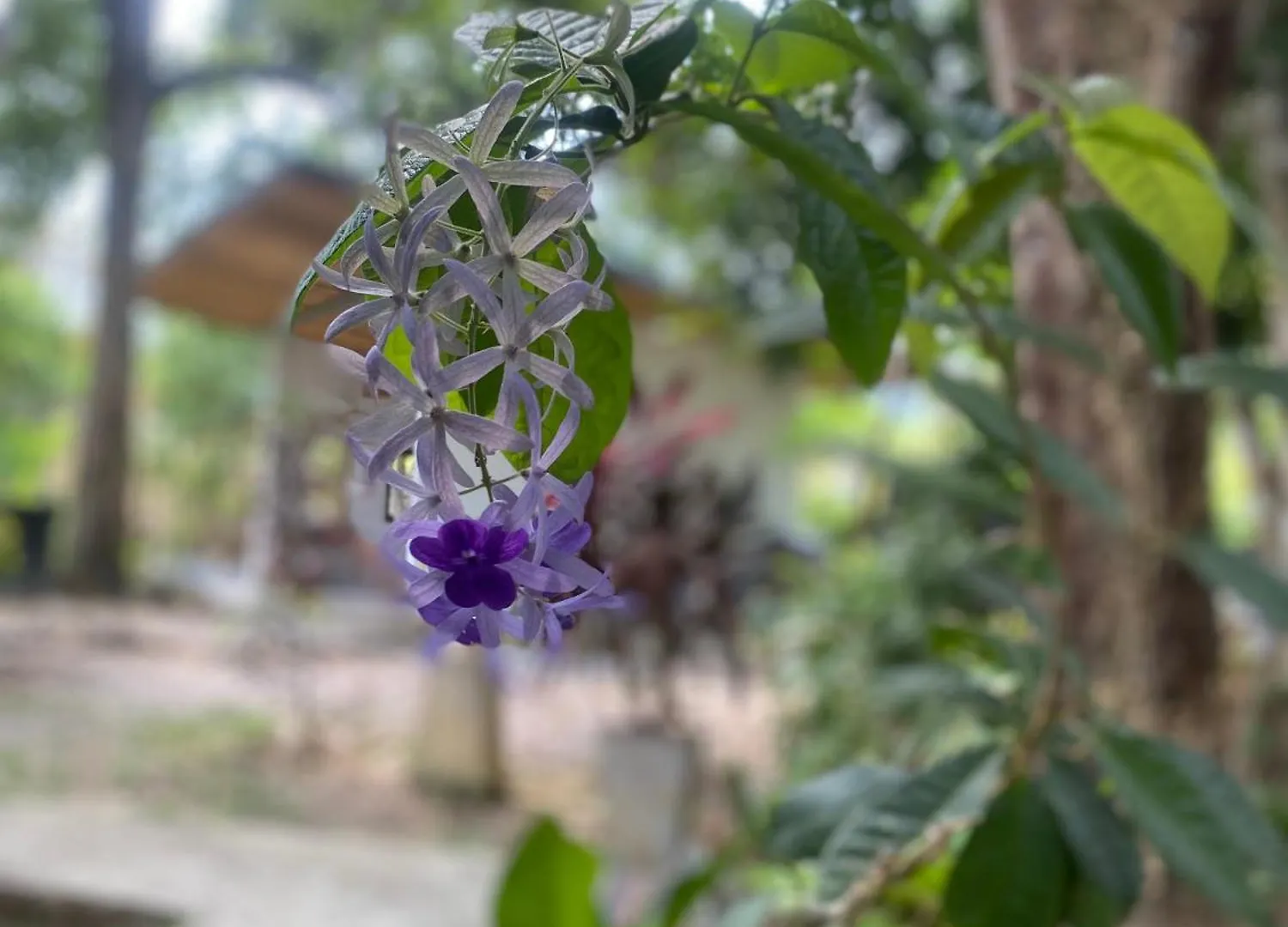 Ingtara At Lanta Resort Koh Lanta